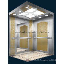 Germmany Technology Passenger Elevator with Luxury Cabin (JQ-B021)